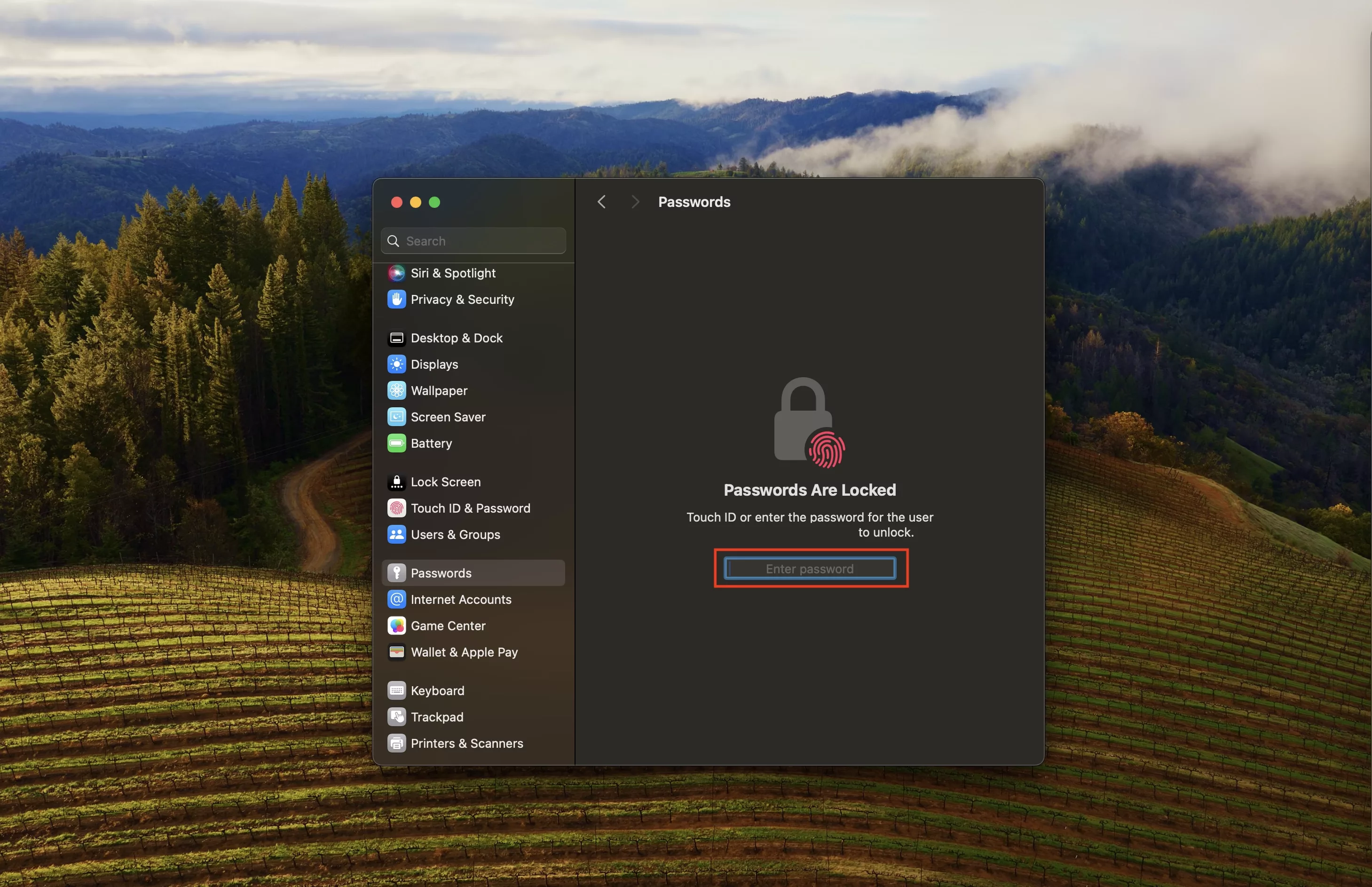 A screenshot of a MacBook desktop showing the System Settings app with the passwords option selected. The System Settings app is requesting a password to access the passwords. When you get to this screen enter your password.