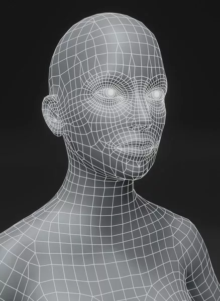 A mesh of the face of a female character.
