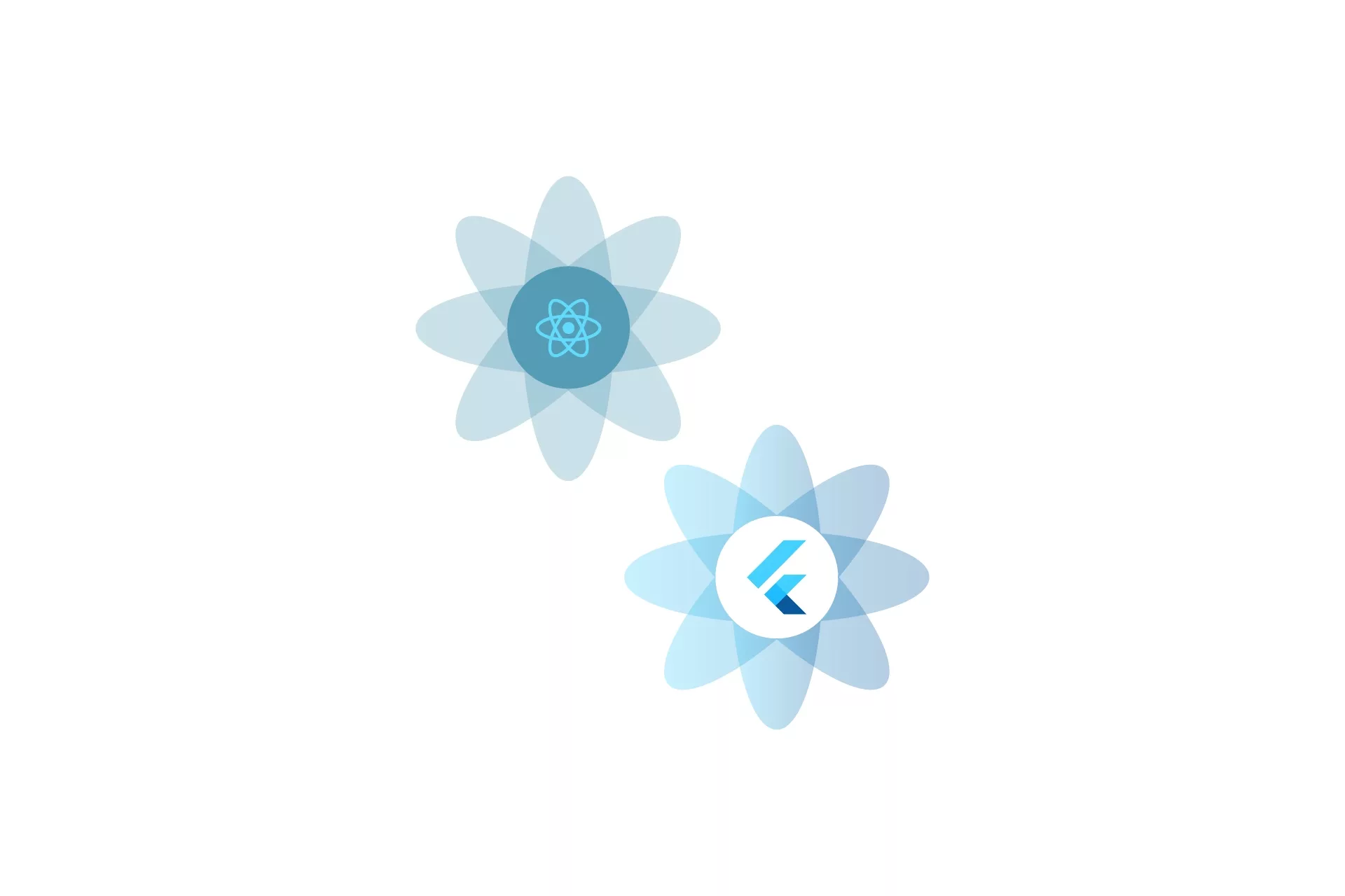 Two flowers that represent Flutter and React Native.