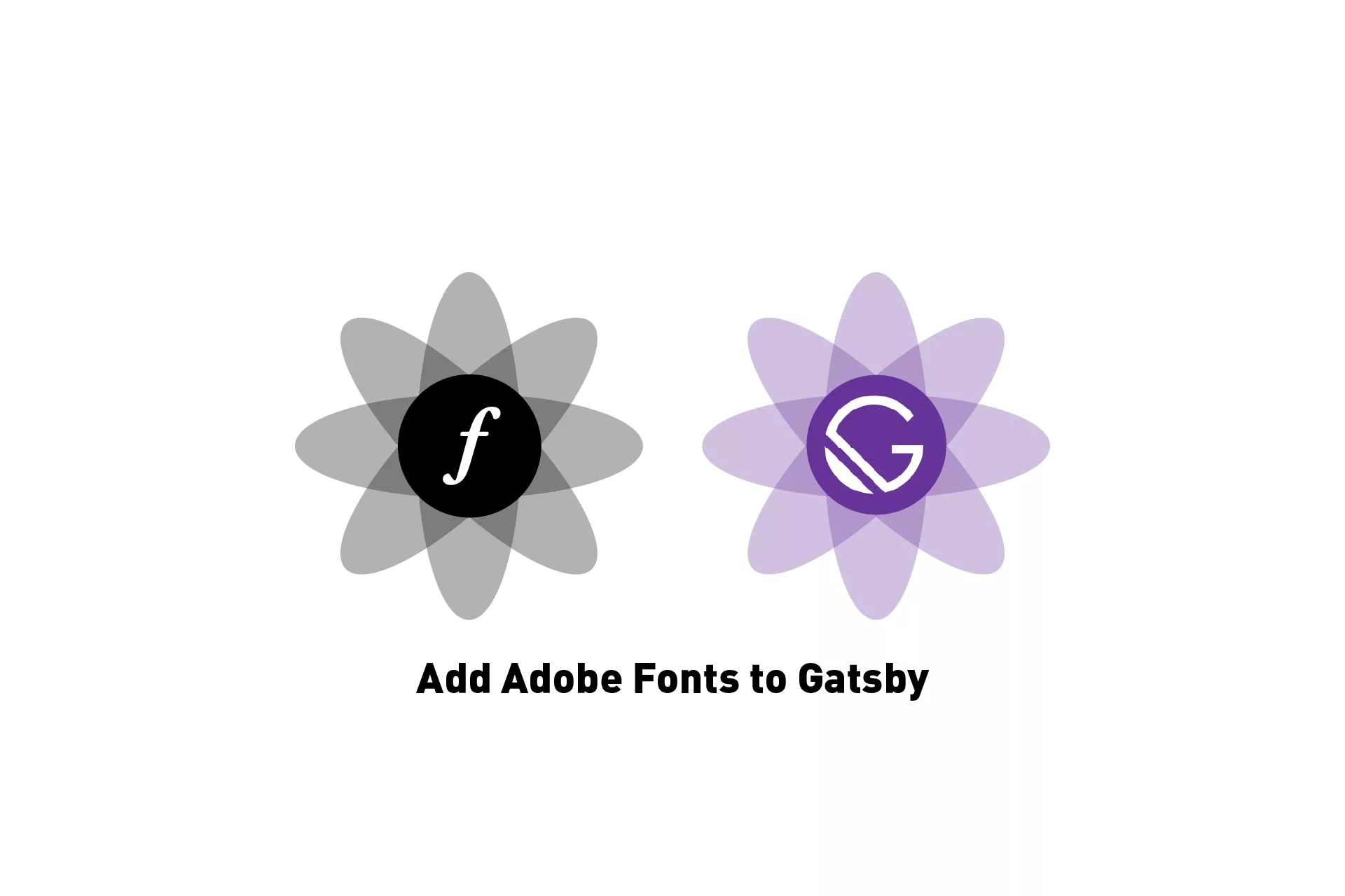 Two flowers that represent Adobe Fonts & Gatsby side by side with the text 'Add Adobe Fonts to Gatsby' beneath it.