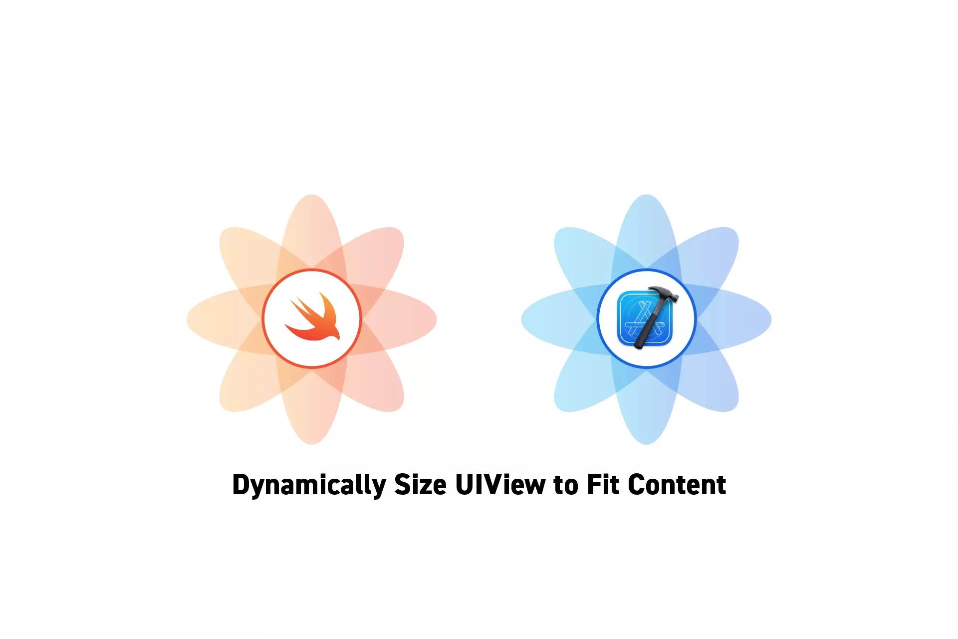 Two flowers that represent Swift and XCode with the text "Dynamically Size UIView to Fit Content" beneath them.