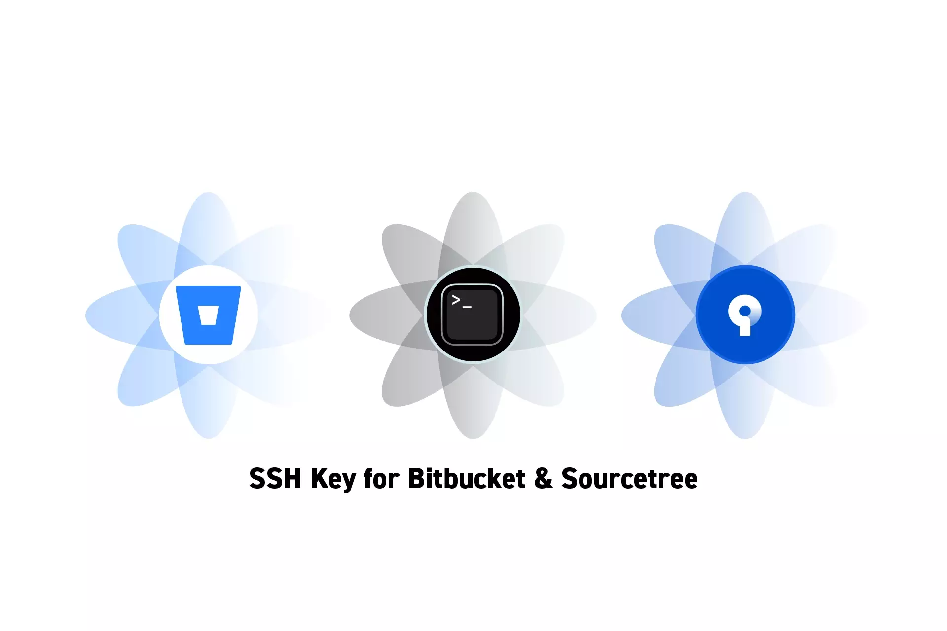 Three flowers that represent Bitbucket, Terminal and Sourcetree side by side. Beneath them sits the text "SSH Key for Bitbucket & Sourcetree"