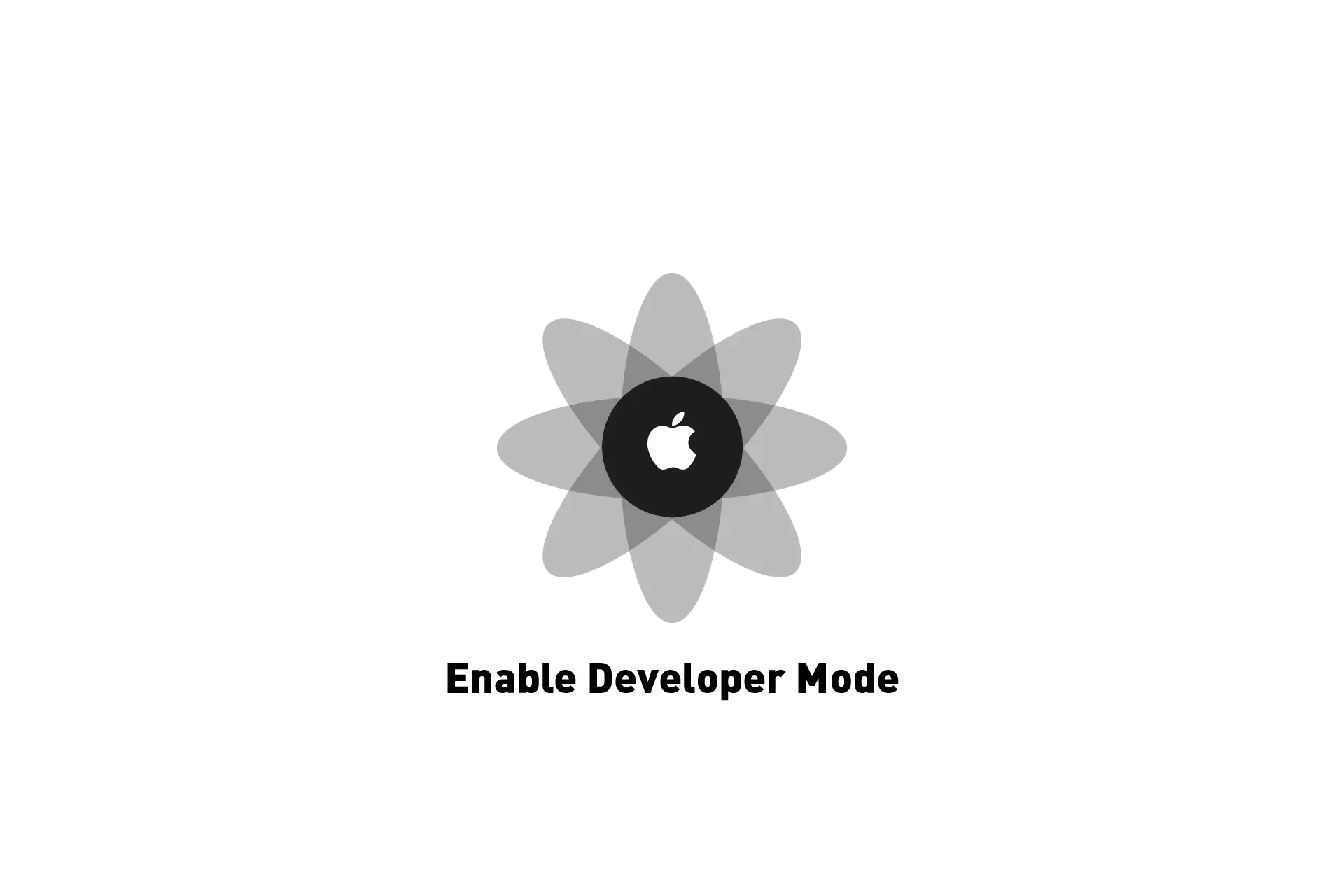 How To Enable Developer Mode On An IPhone Or IPad