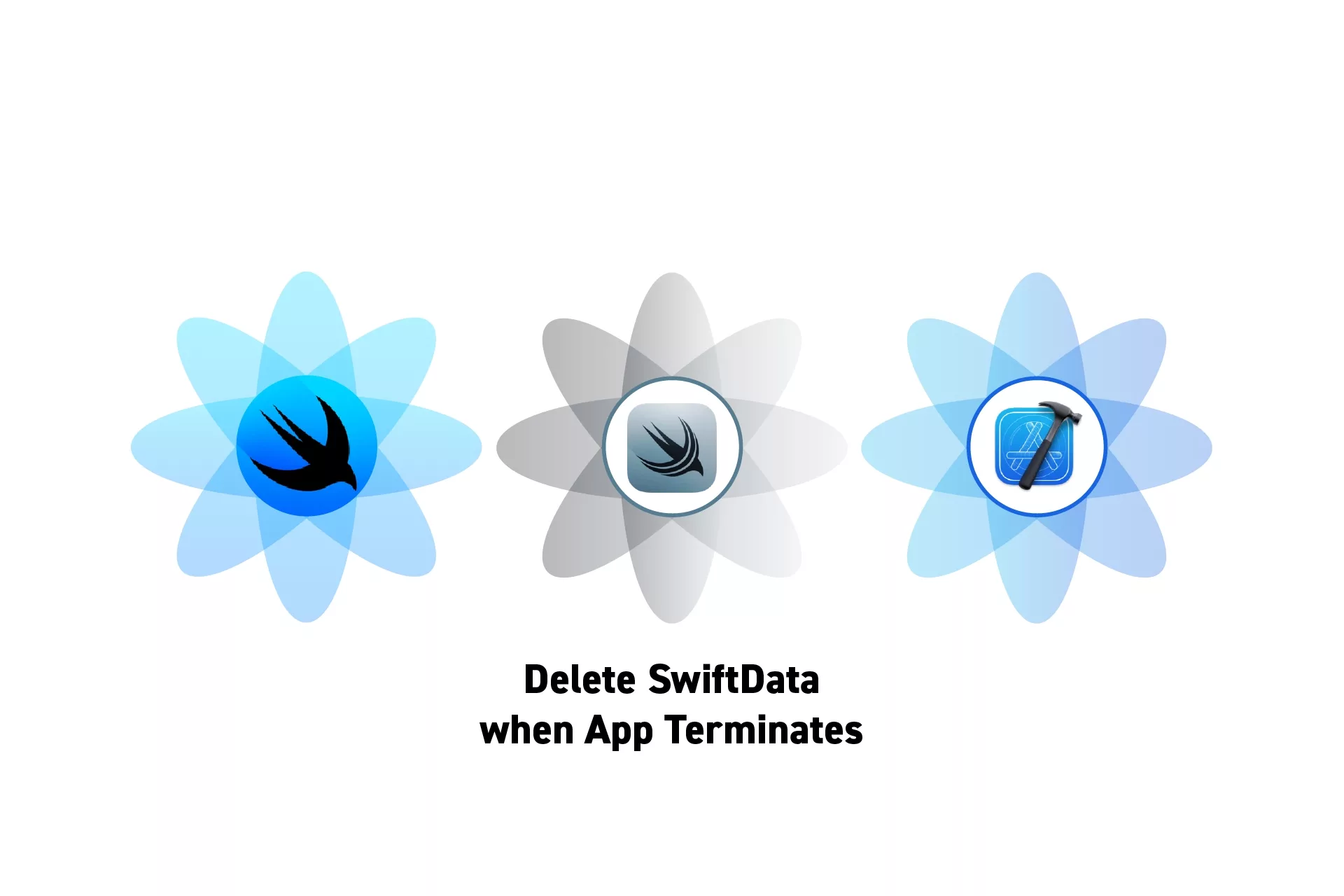 Three flowers that represent SwiftUI, SwiftData and XCode side by side. Beneath them sits the text "Delete SwiftData when App Terminates".