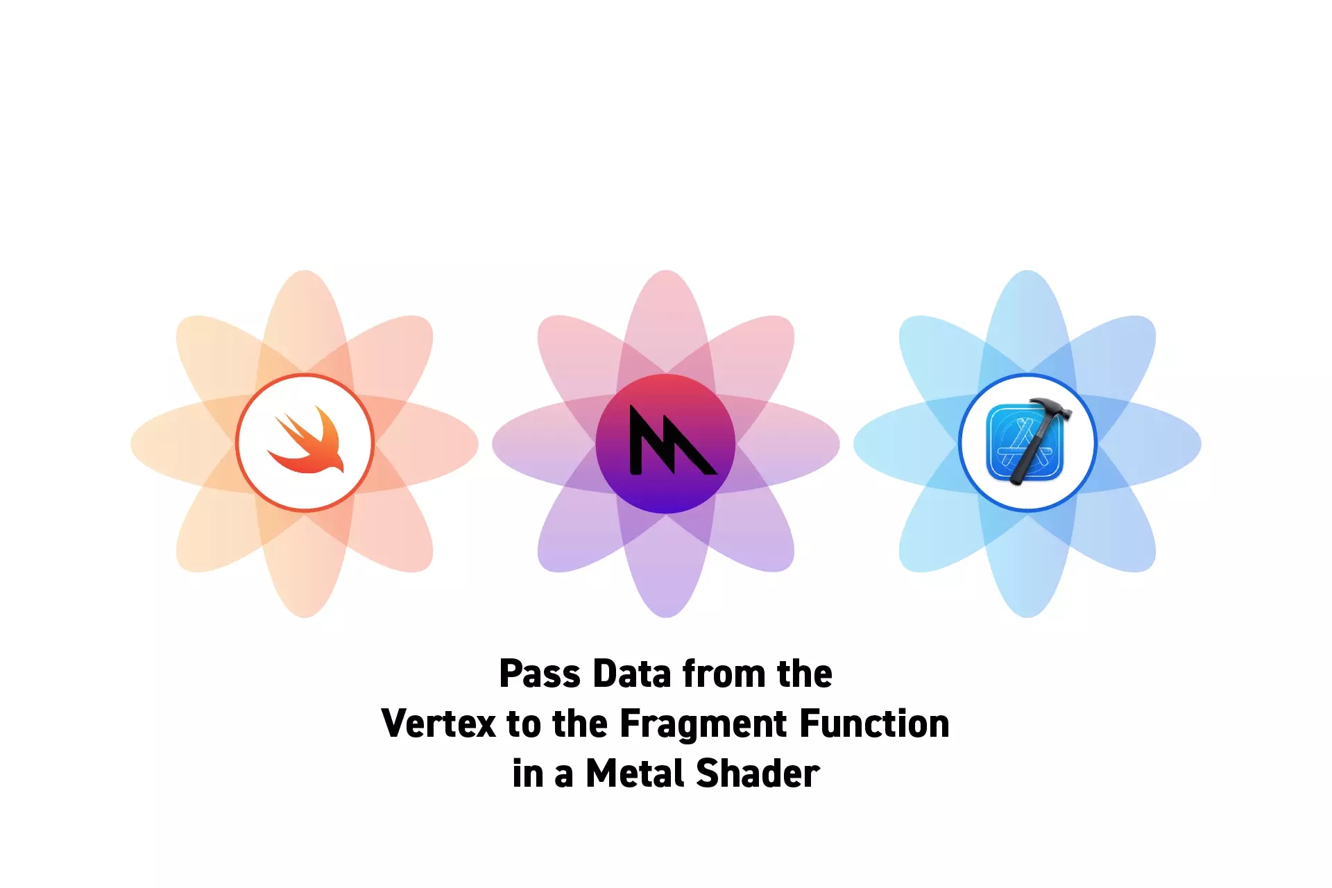 Three flowers that represent Swift, Metal and XCode with the text "Pass Data from the Vertex to the Fragment Function in a Metal Shader" beneath it.