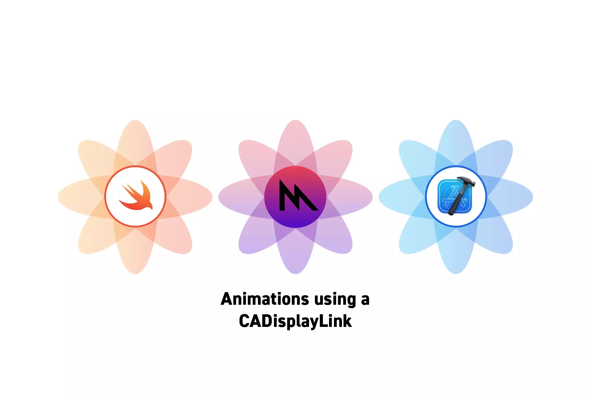 Three flowers that represent Swift, Metal and Xcode with the text "Animations using a CADisplayLink" beneath them.