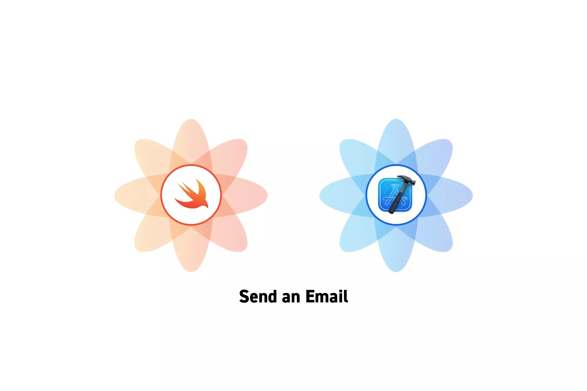 Two flowers that represent Swift and Xcode side by side. Beneath them sits the text "Send an Email."