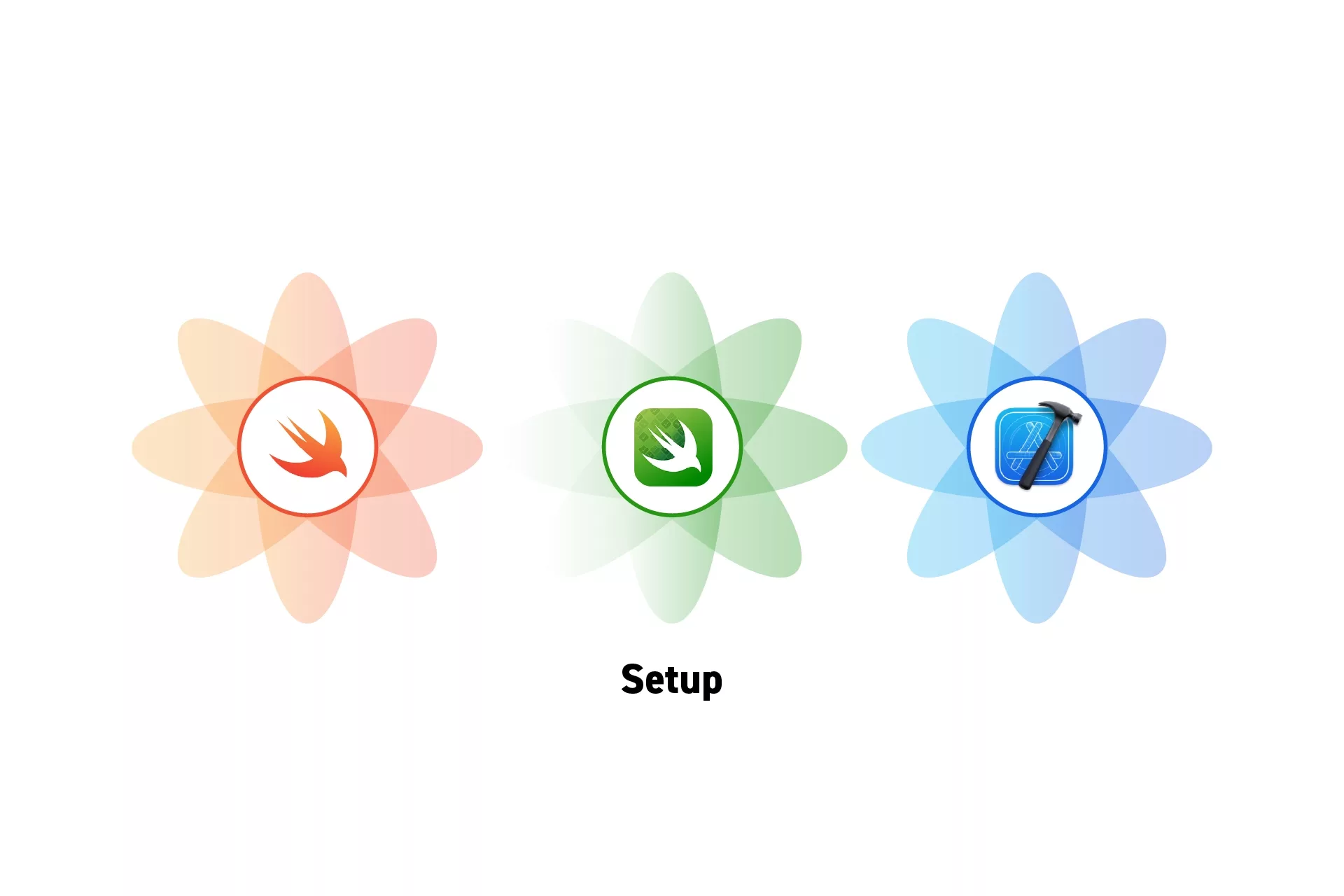 Three flowers that represent Swift, Swift Testing and XCode side by side. Beneath them sits the text "Setup".