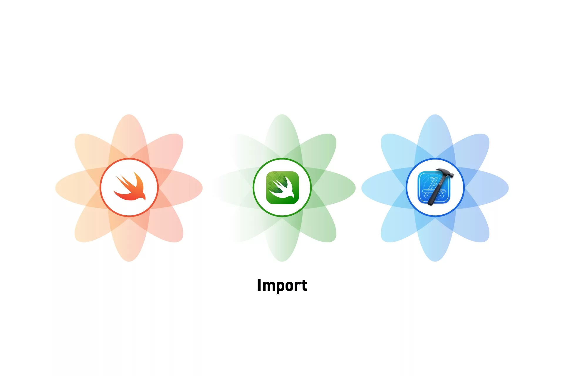 Three flowers that represent Swift, Swift Testing and XCode side by side. Beneath them sits the text "Import".