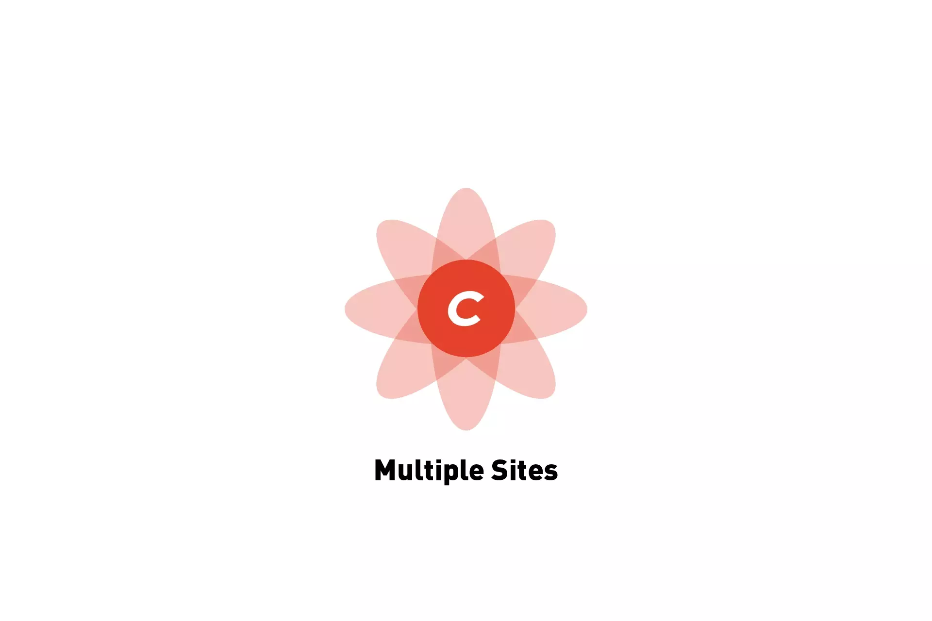 A flower that represents Craft CMS, beneath it sits the text "Multiple Sites."