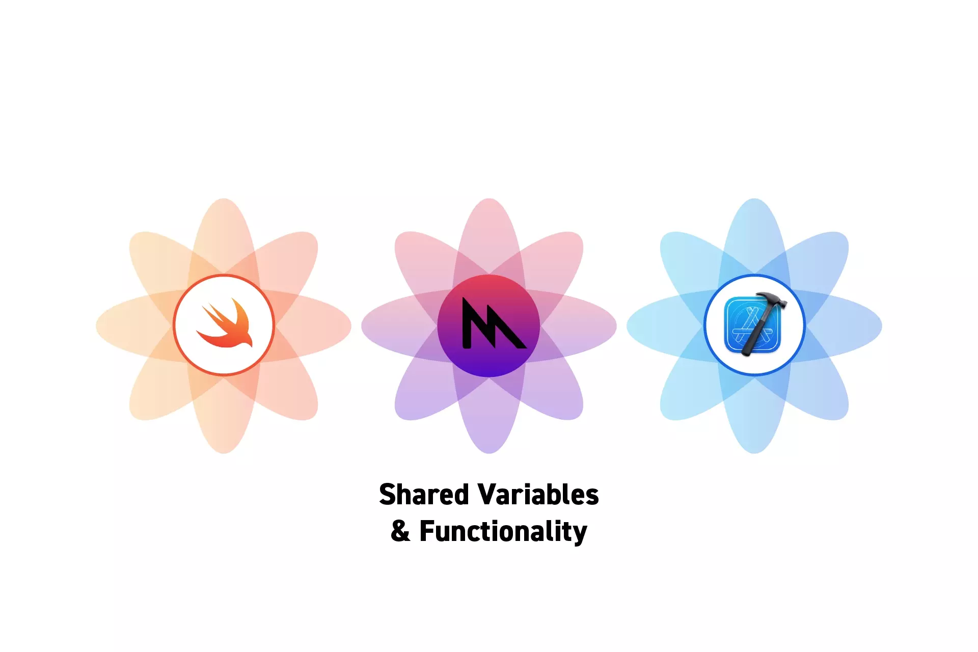 Three flowers that represent Swift, Metal and Xcode with the text "Shared Variables &amp; Functionality" beneath them.