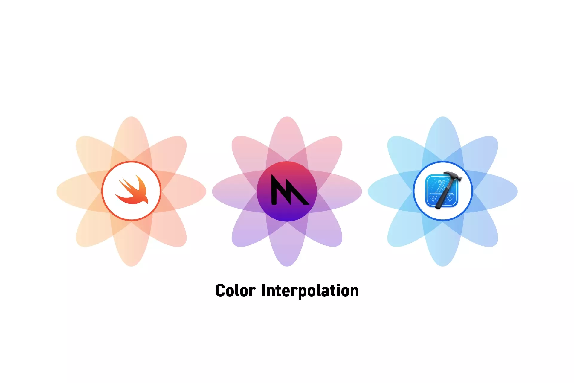 Three flowers that represent Swift, Metal and XCode side by side. Beneath them sits the text "Color Interpolation."