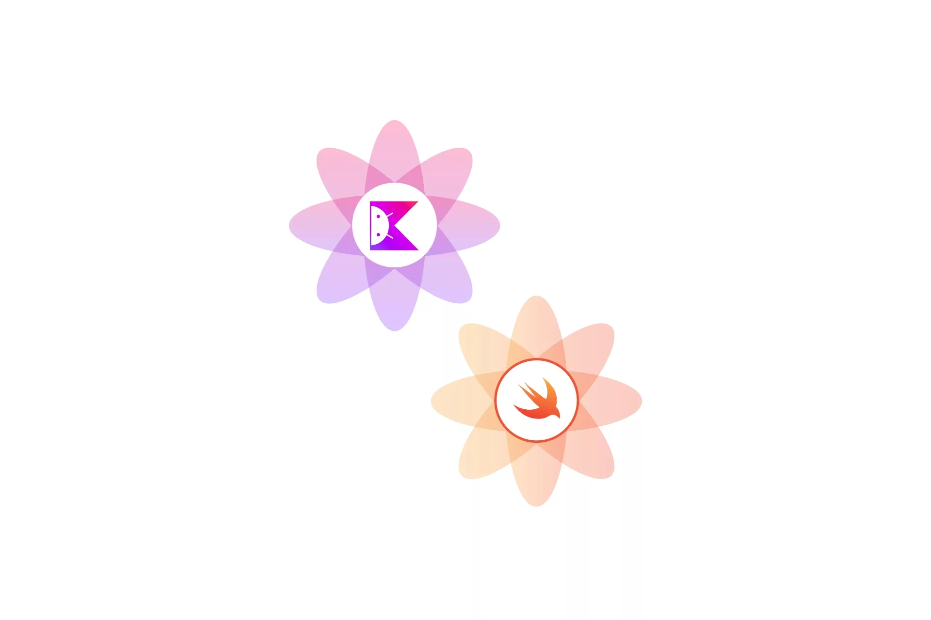 Two flowers that represent Kotlin and Swift.