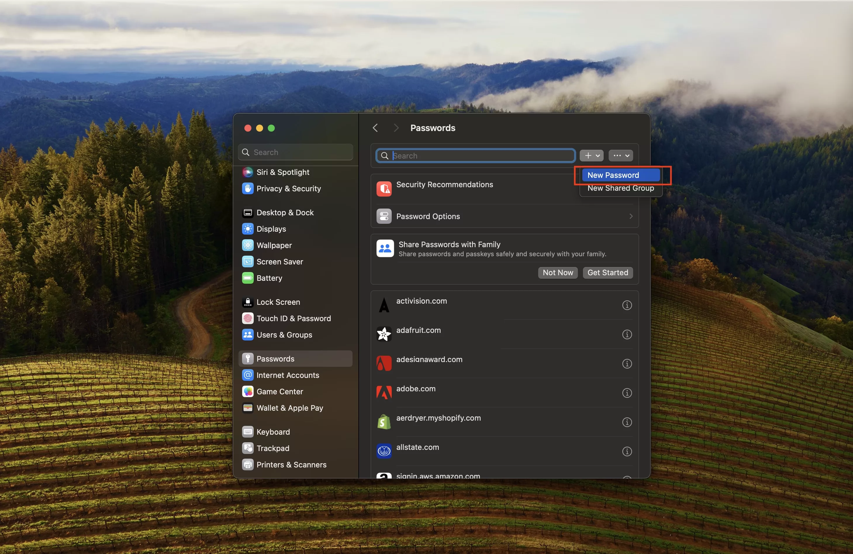 A screenshot of a MacBook desktop showing the System Settings app with the password manager open. Highlighted on the top right is the "New Password" menu option that appears if you click the "+" button.