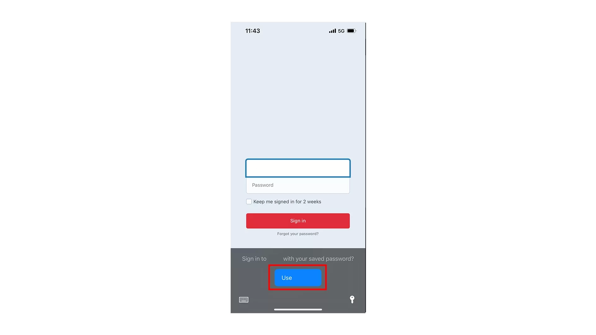 A screenshot of an iPhone showing you the modal that appears when you press a username or password on a website. A blue button allows you to login with the saved user name or password from the Apple Password Manager.
