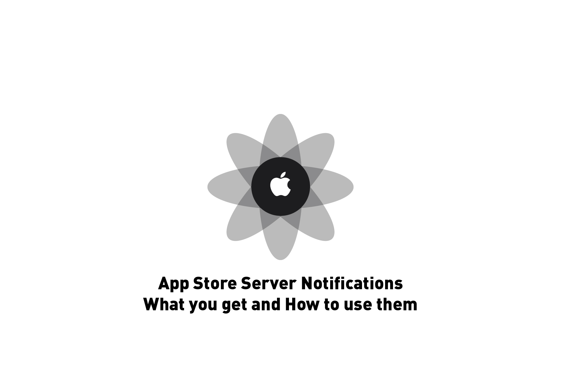 Apple App Store Server Notifications: What you get and How to use them