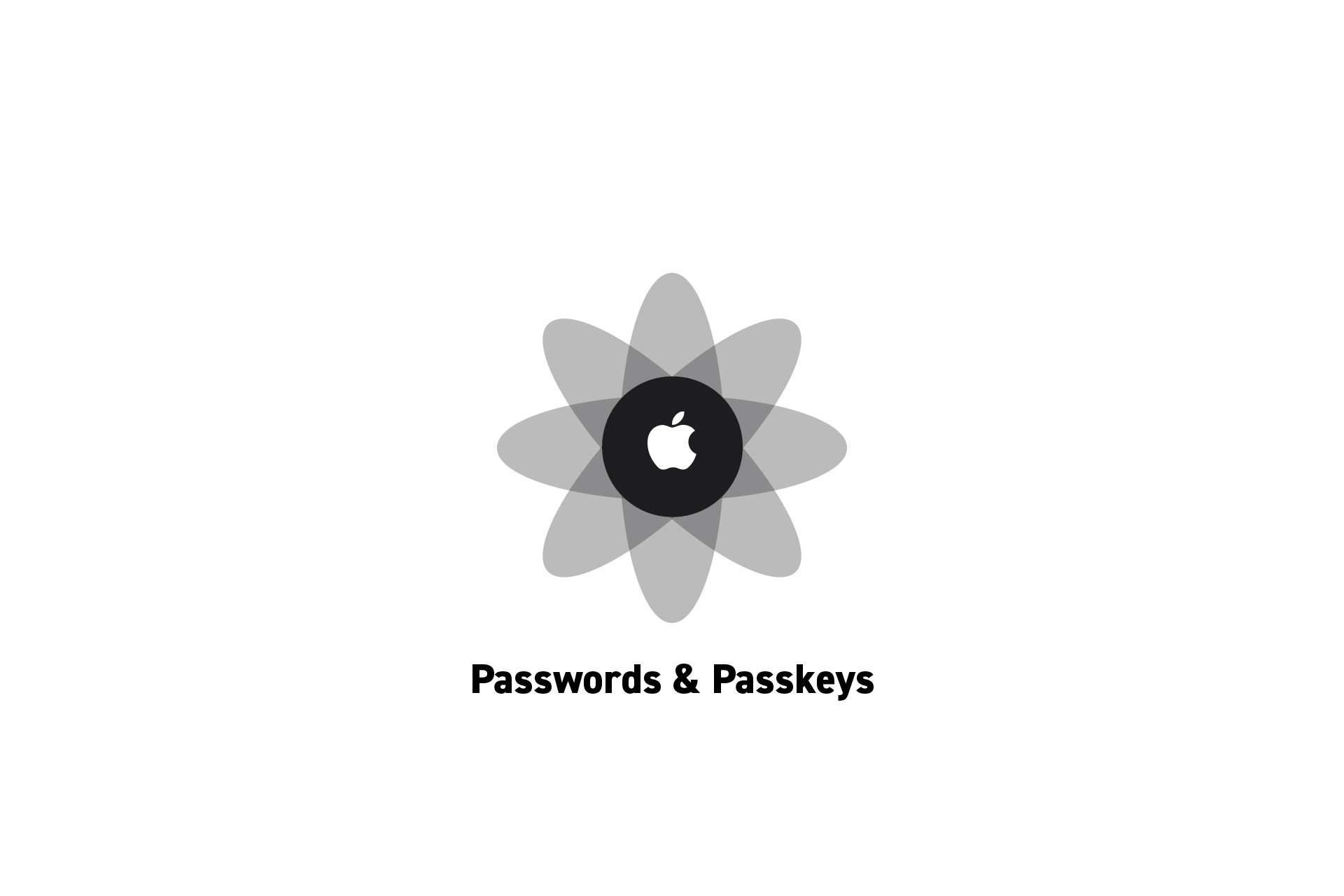 apple-passwords-and-passkeys-guide