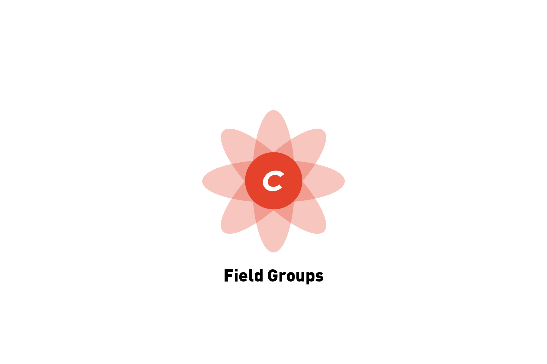 how-to-create-and-structure-field-groups-in-craft-cms