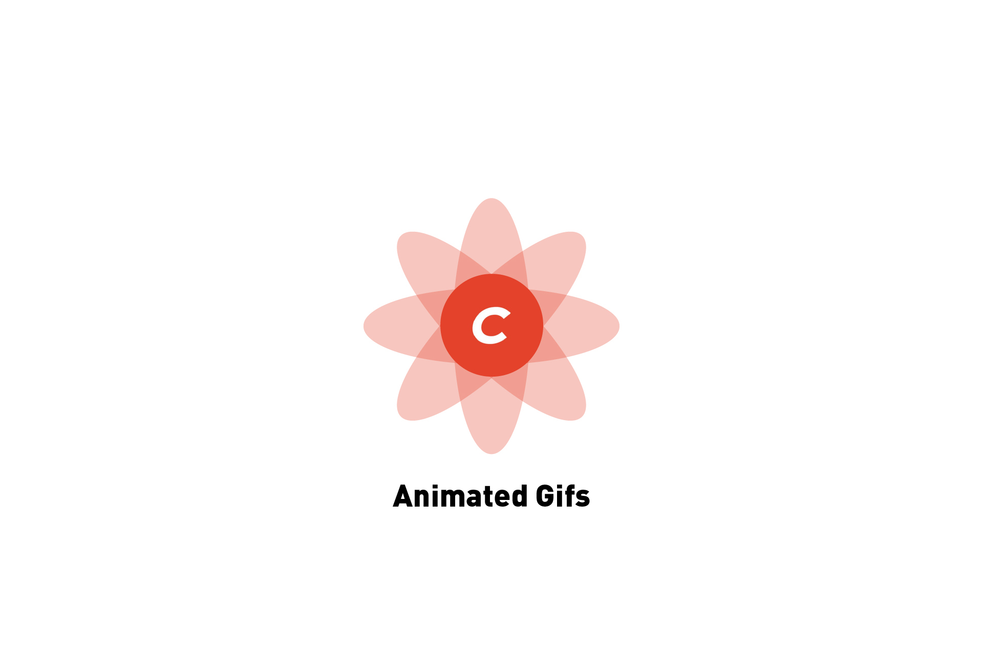 how-to-get-animated-gifs-to-work-in-craft-cms