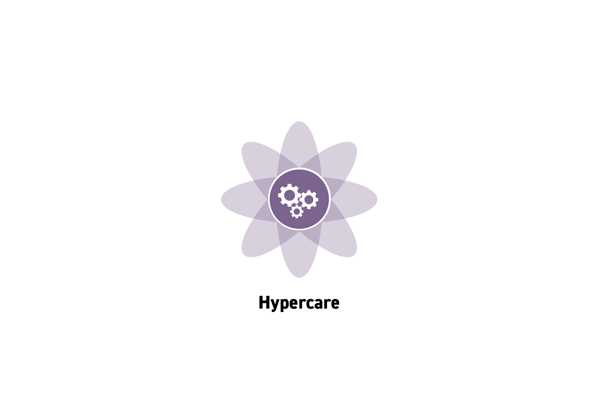 what-is-hypercare