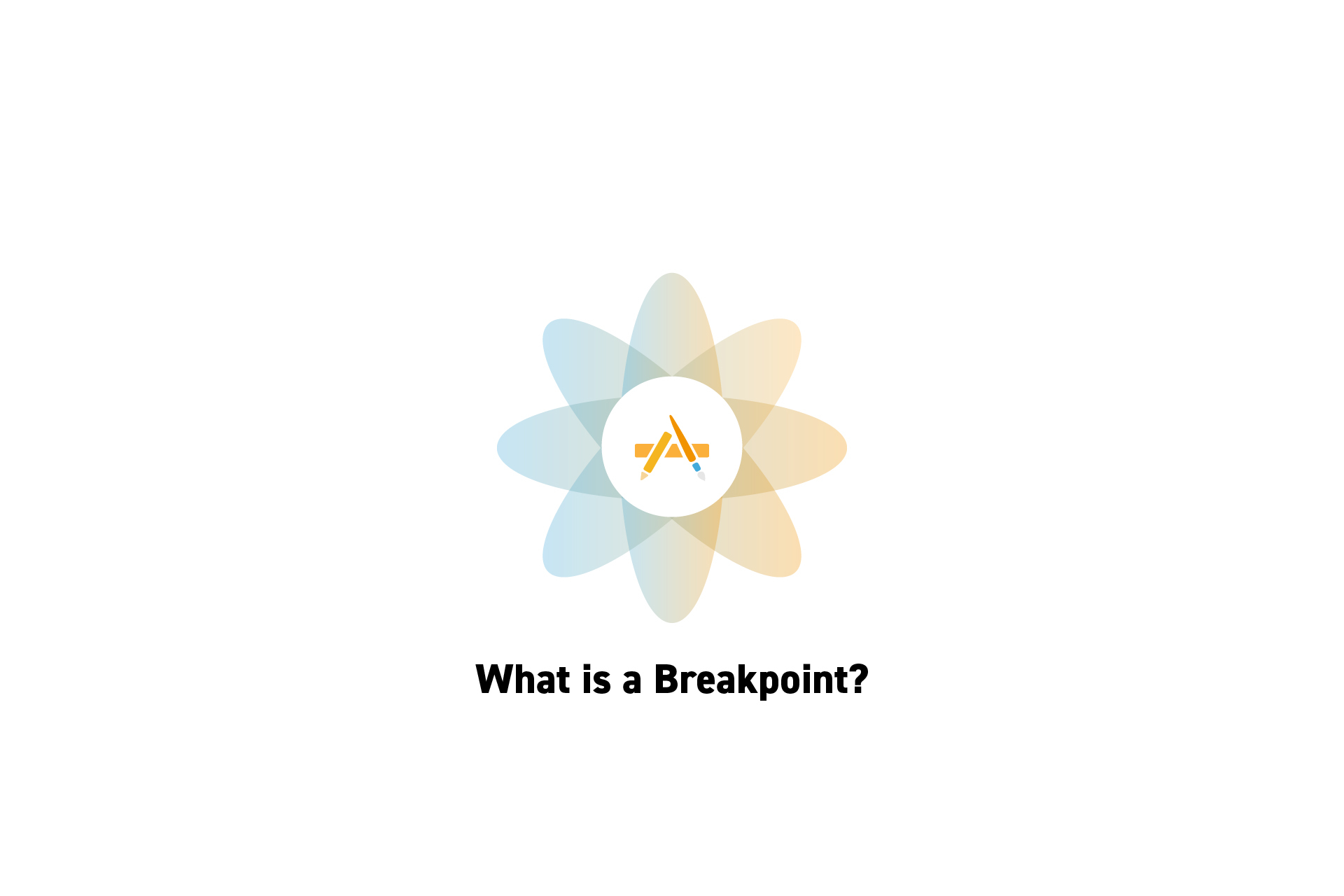 what-is-a-breakpoint